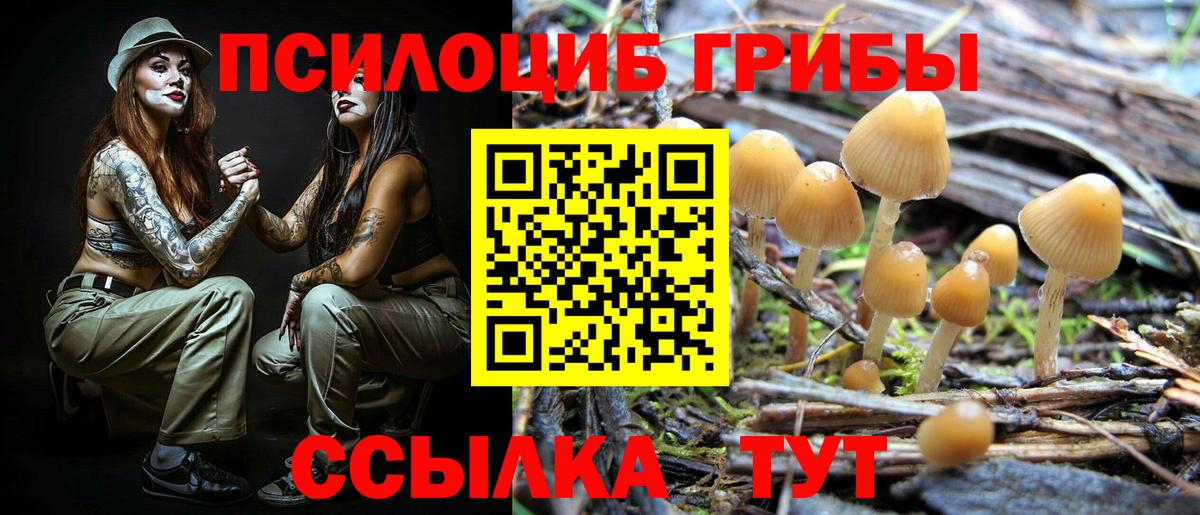 Галлюциногенные грибы мухоморы Великие Луки